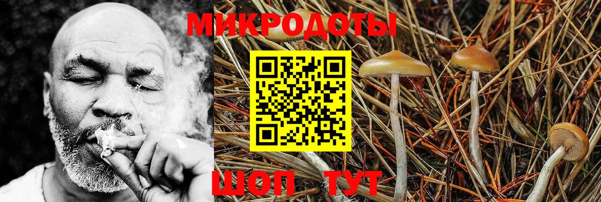 Кинель  Галлюциногенные грибы Psilocybe  Вход с VPN 